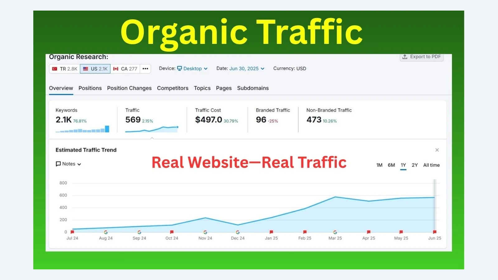 Organic SEO traffic growth case study